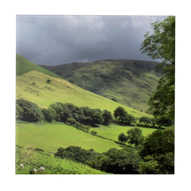 OPINIÕES DE WALES UK (Frente)