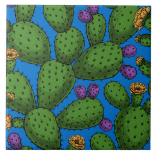 Opuntia florescente em azul