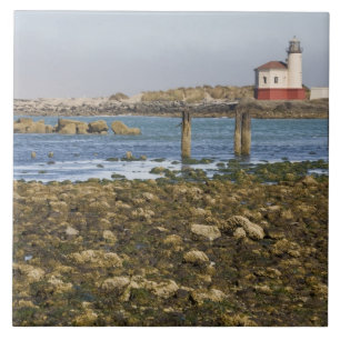 OR, Costa do Oregon, Bandon, Rio Coquille