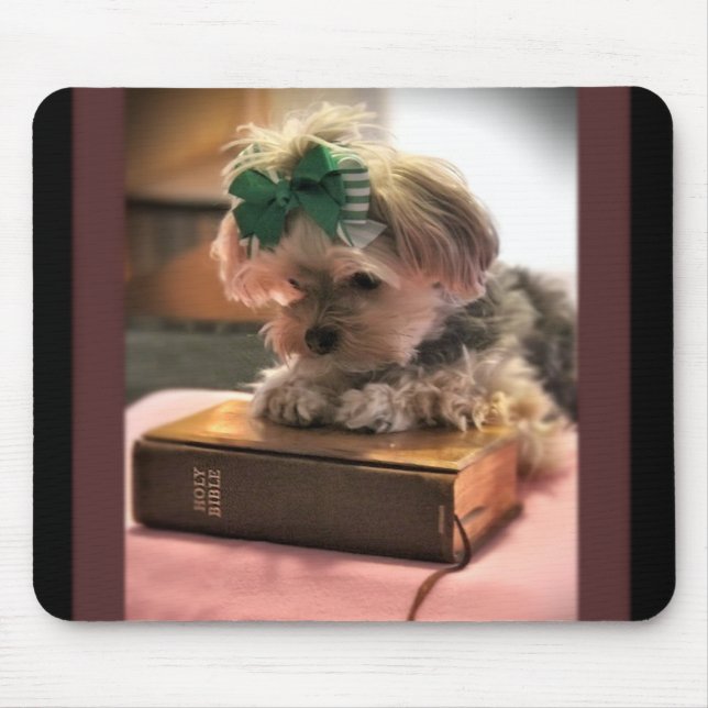 Oração Mousepad do pirulito de Cali (Frente)