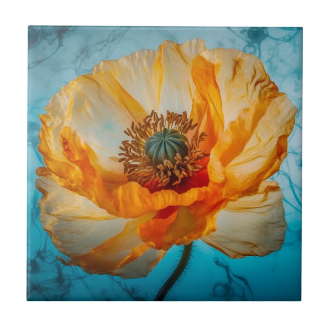 Orange Beauty (Frente)