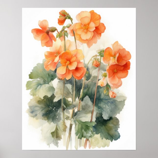 Orange Begonia Flowers Art Impressão Poster (Frente)