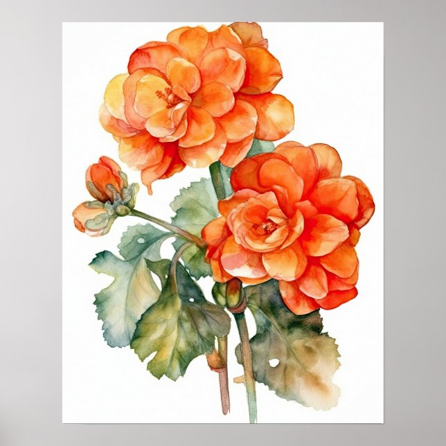 Orange Begonia Flowers Art Impressão Poster (Frente)