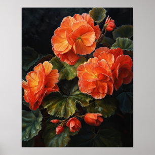 Orange Begonia Flowers Art Impressão Poster