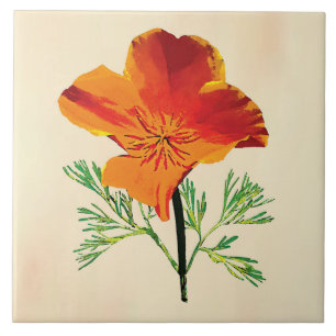 Orange California Poppy