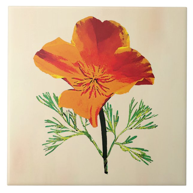 Orange California Poppy (Frente)