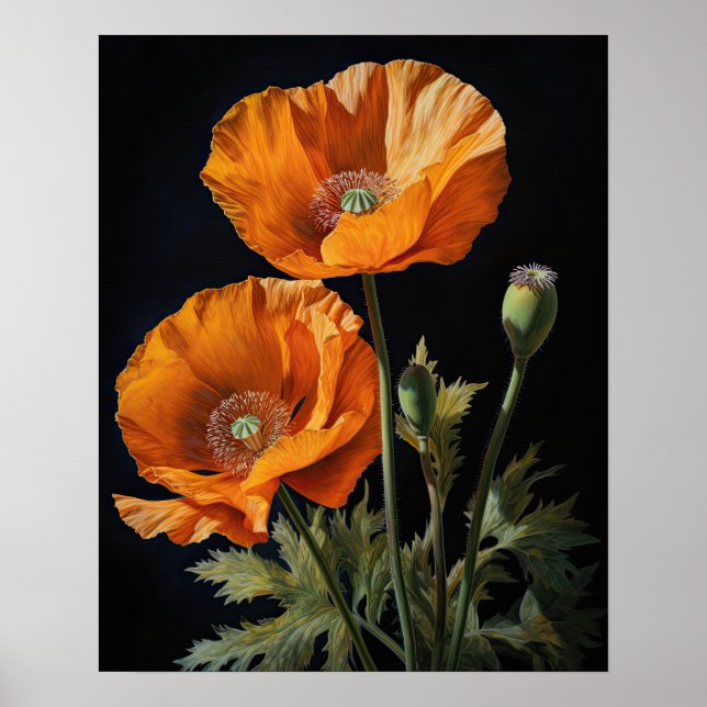 Orange California Poppy Flowers Art Impressão Post (Frente)