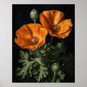 Orange California Poppy Flowers Art Impressão Post