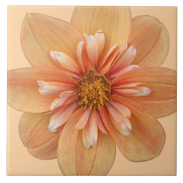 Orange Collarette Dahlia Floral