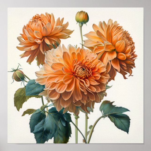 Orange Dahlias Flower Art Impressão Poster (Frente)