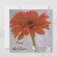 Orange Daisy Wedding Salvar o Anúncio de Data