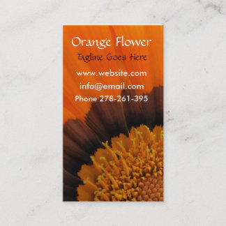 Orange Gazania Flower Cartão de visita