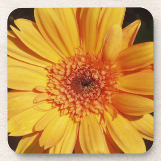 Orange Gerbera Porta copos