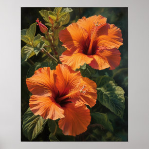 Orange Hibiscus Flowers Art Impressão