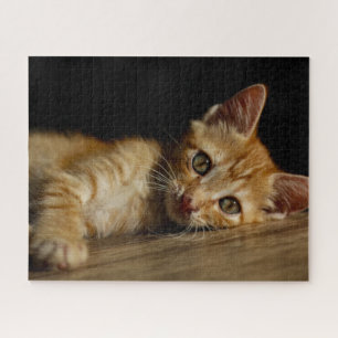 Orange Kitten Quebra-cabeça