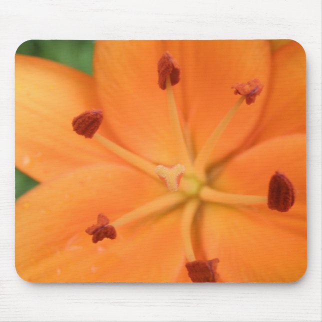 Orange Lily Floral Mousepad (Frente)