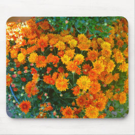 Orange Margarita Daisy Mousepad
