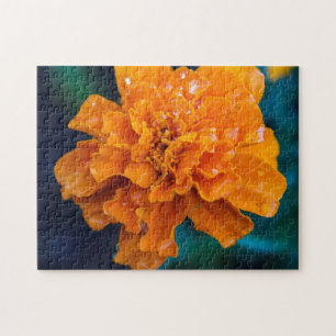Orange Marigold Quebra-cabeça