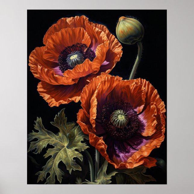 Orange Oriental Poppy Flowers Art Impressão Poster (Frente)