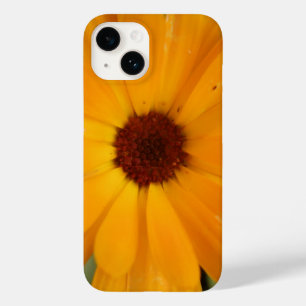 Orange Rain Daisy iPhone 5 Case