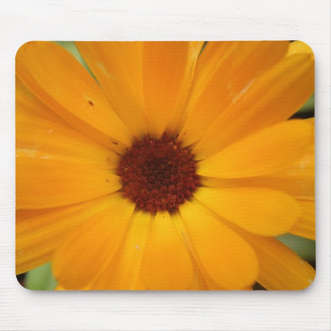 Orange Rain Daisy Mousepad (Frente)
