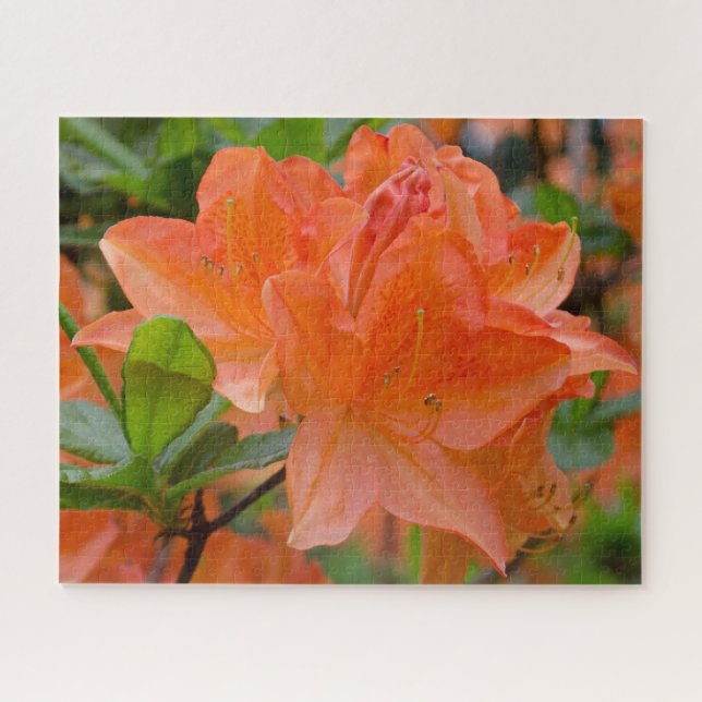 Orange Rhododendron Jigsee Quebra-cabeça (Horizontal)