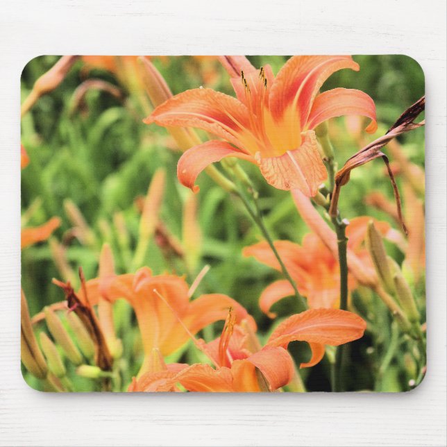 Orange Tiger Lily Mousepad (Frente)