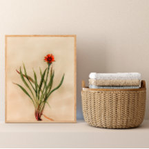 Orange Wildflower Vintage Impressão