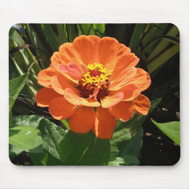 Orange Zinnia Mousepad (Frente)
