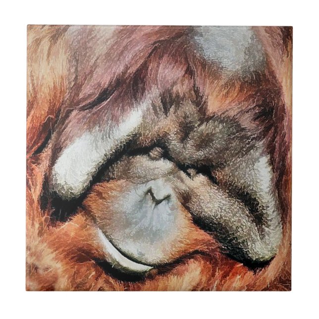 ORANGUTAN (Frente)