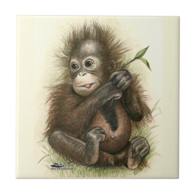 Orangutan Baby Com Folhas (Frente)