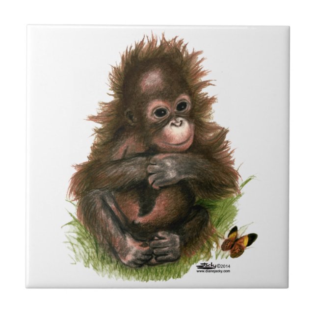 Orangutan Baby e Butterfly (Frente)