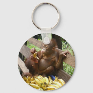 Orangutan Baby in BorneoButton Chaveiro