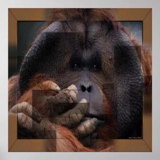 Orangutan Impressão (Frente)
