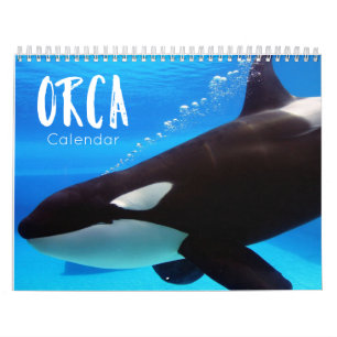 orca 2023 calendário engraçado e fofo