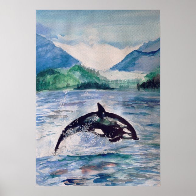 Orca, Baleia, desenho de aquarela Valor Poster (Frente)