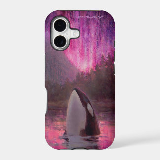 Orca da baleia de assassino e aurora boreal