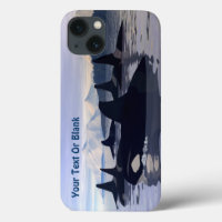 Orca de Água Brilhada