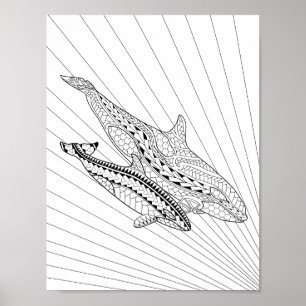 Orca e poster adulto da coloração do bebê