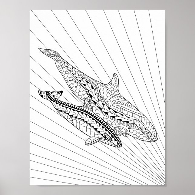 Orca E Poster De Coloração De Adultos Para Bebês (Frente)