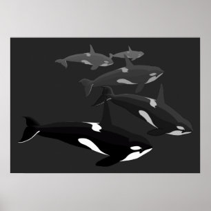 Orca Whale Art Poster Whale Canvas Impresso