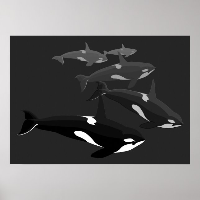 Orca Whale Art Poster Whale Canvas Impresso (Frente)