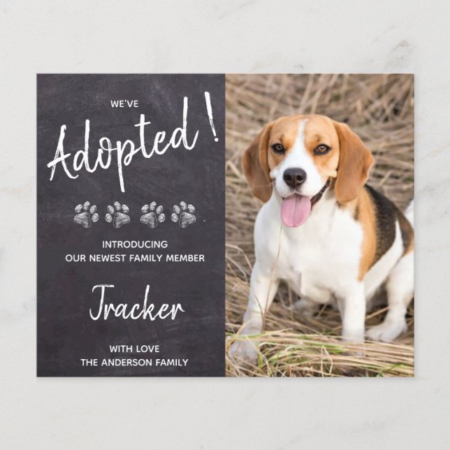 Orçamento Adotámos Novo Anúncio de Emergência de C (Frente)