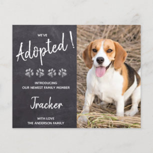 Orçamento Adotámos Novo Anúncio de Emergência de C