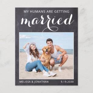 Orçamento de Foto para Casamento de Cachorro Russ
