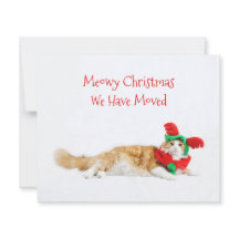 Orçamento divertido gato Natal mudança de endereço