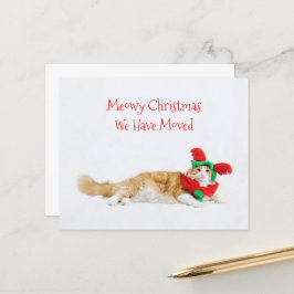 Orçamento divertido gato Natal mudança de endereço