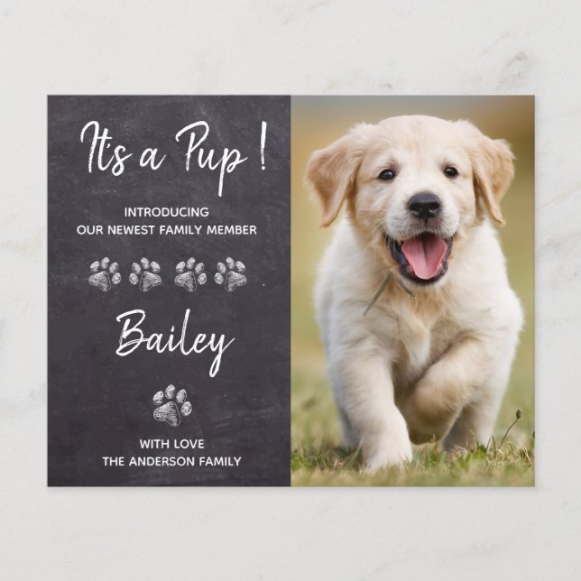 Orçamento É um anúncio de Pup New Pet Puppy Dog (Frente)