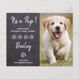 Orçamento É um anúncio de Pup New Pet Puppy Dog