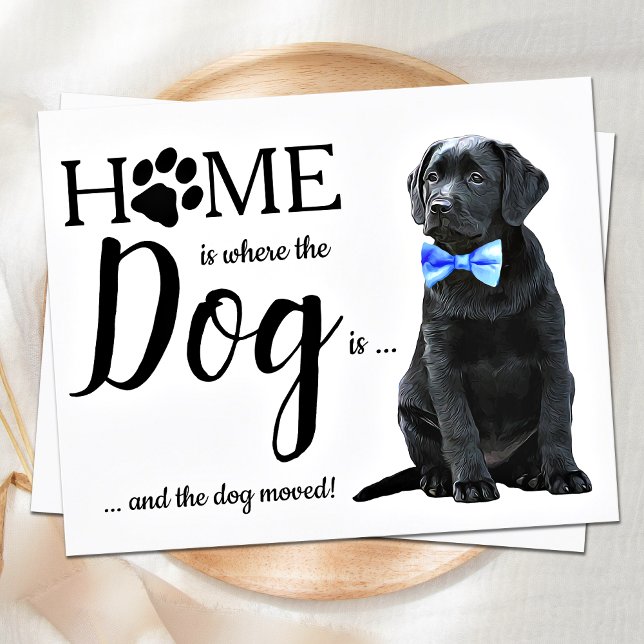 Orçamento Movimentamos Anúncio de Movimentação de  (Criador carregado)